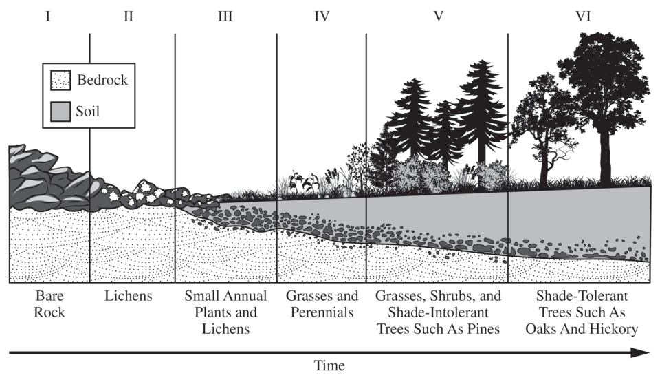 2.3 Ecological Tolerance · 2.4 Natural Disruptions to Ecosystems - AP Environmental Science - image 2