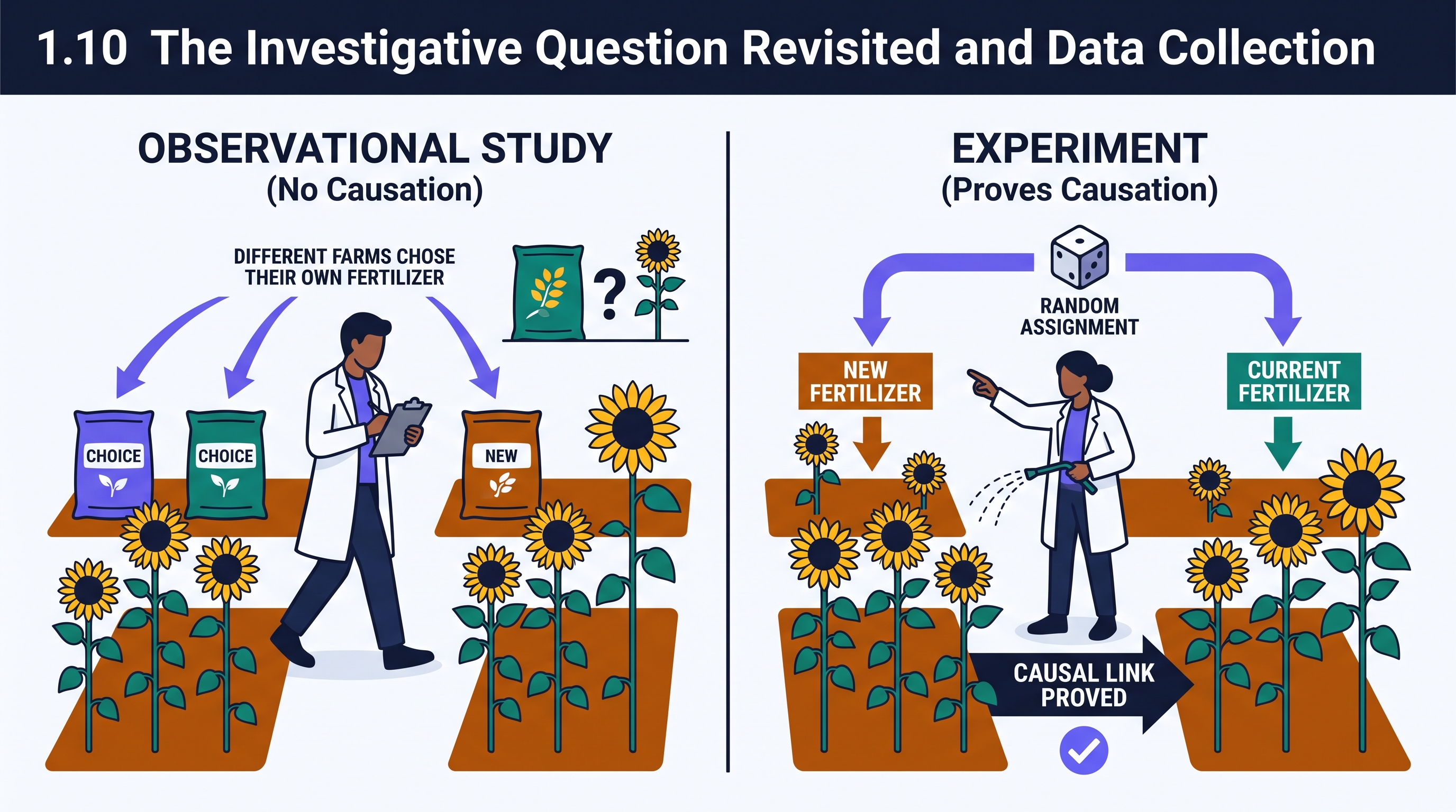 1.10 The Investigative Question Revisited and Data Collection - AP Statistics - image 1