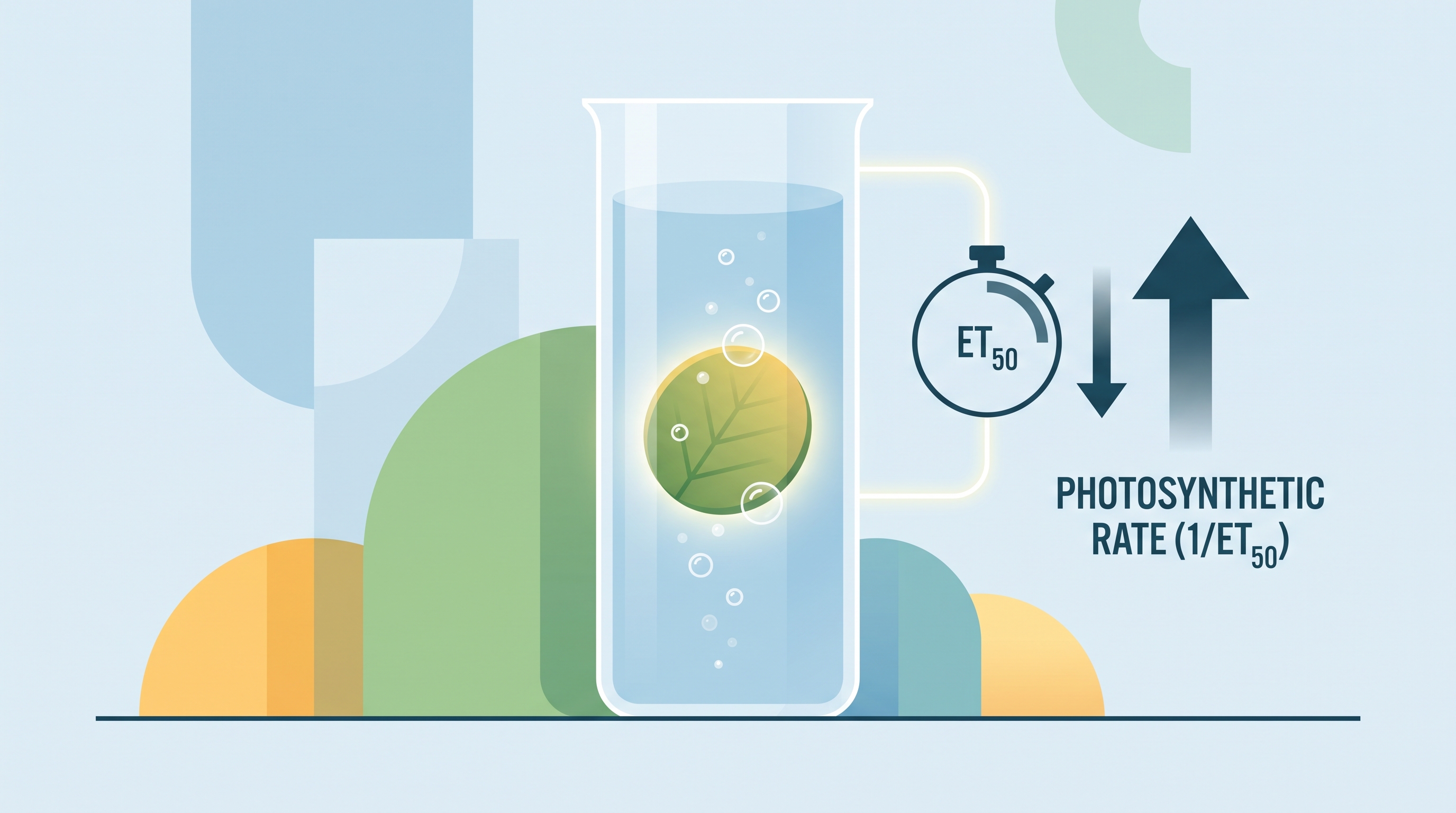 3.4 Photosynthesis - AP Biology - image 1
